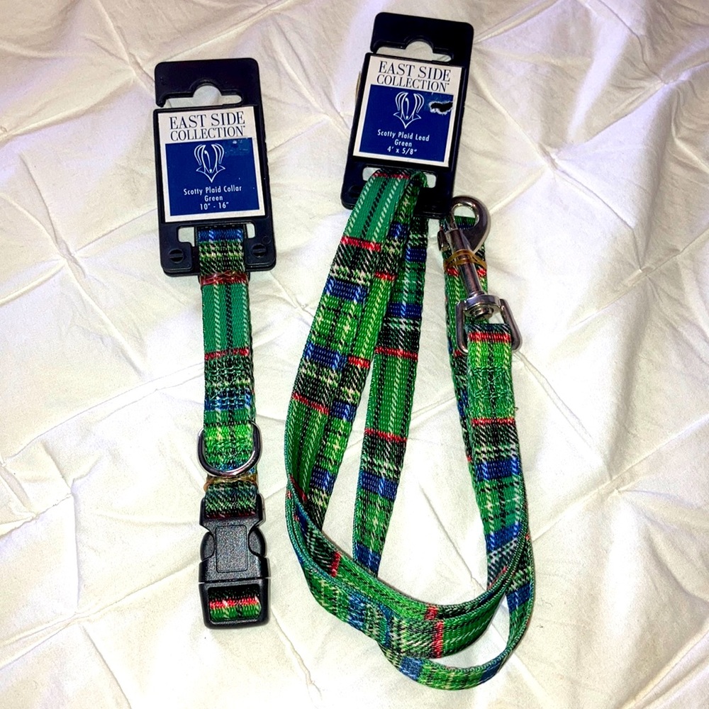 Dog Collar and Leash